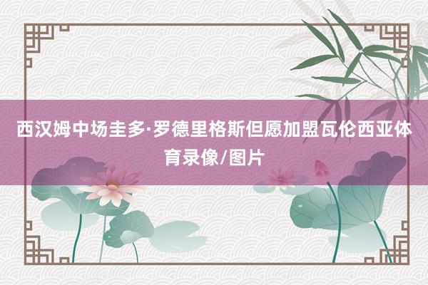 西汉姆中场圭多·罗德里格斯但愿加盟瓦伦西亚体育录像/图片