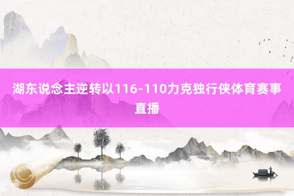 湖东说念主逆转以116-110力克独行侠体育赛事直播