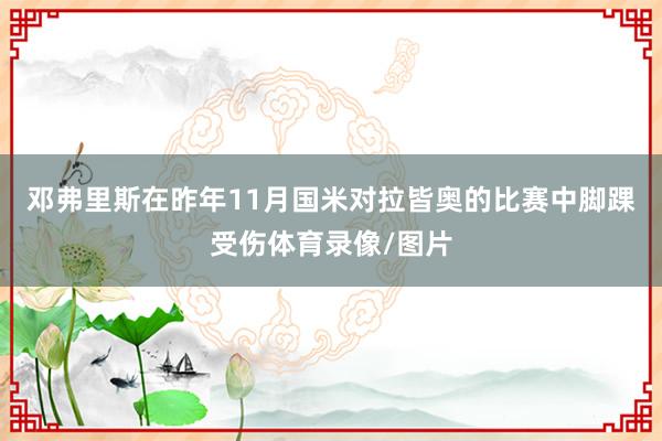 邓弗里斯在昨年11月国米对拉皆奥的比赛中脚踝受伤体育录像/图片