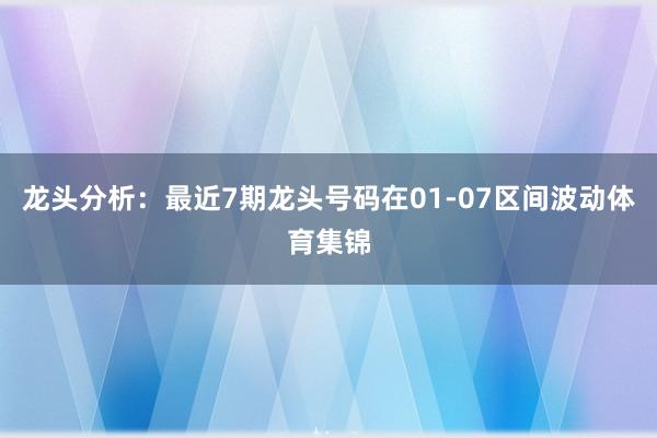 龙头分析：最近7期龙头号码在01-07区间波动体育集锦