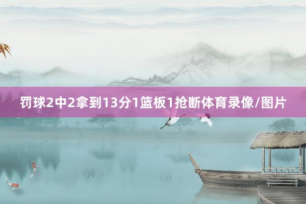 罚球2中2拿到13分1篮板1抢断体育录像/图片