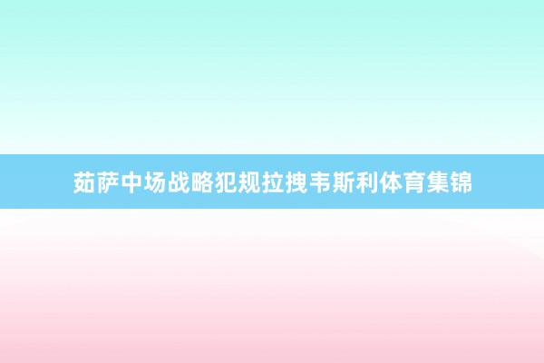 茹萨中场战略犯规拉拽韦斯利体育集锦