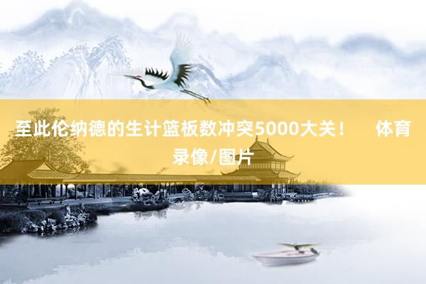 至此伦纳德的生计篮板数冲突5000大关！    体育录像/图片