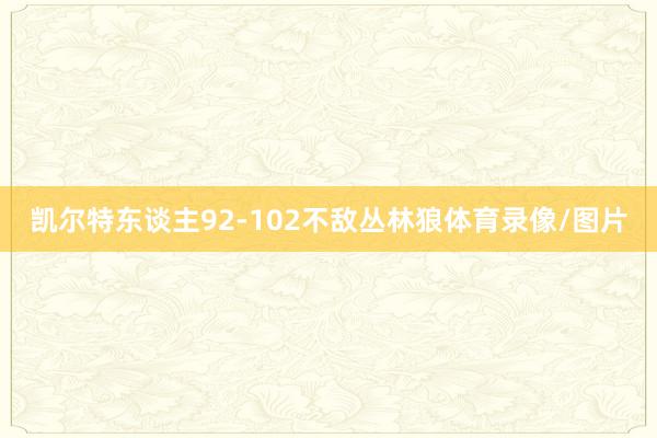 凯尔特东谈主92-102不敌丛林狼体育录像/图片