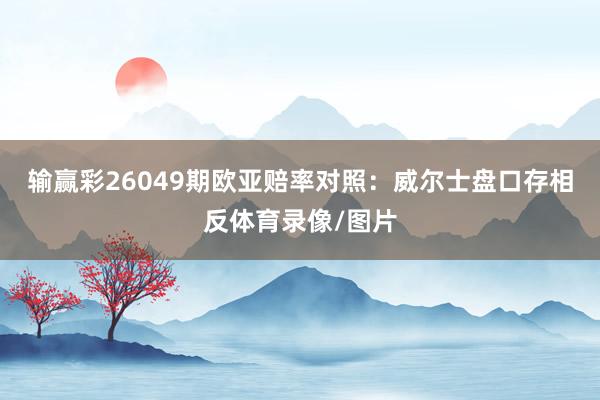 输赢彩26049期欧亚赔率对照：威尔士盘口存相反体育录像/图片