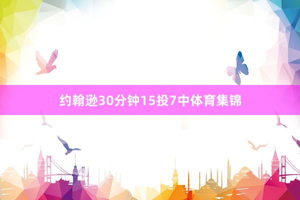 约翰逊30分钟15投7中体育集锦