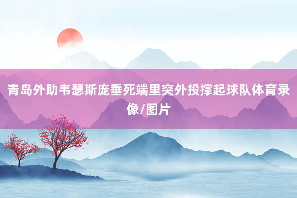 青岛外助韦瑟斯庞垂死端里突外投撑起球队体育录像/图片