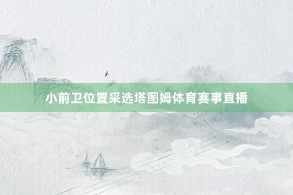 小前卫位置采选塔图姆体育赛事直播