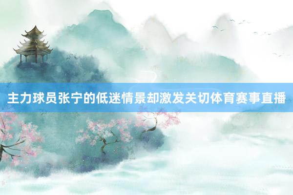 主力球员张宁的低迷情景却激发关切体育赛事直播