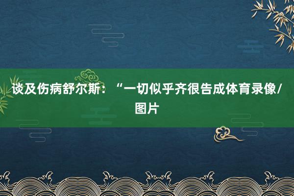 谈及伤病舒尔斯:“一切似乎齐很告成体育录像/图片