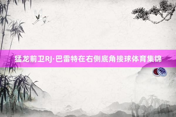 猛龙前卫RJ·巴雷特在右侧底角接球体育集锦