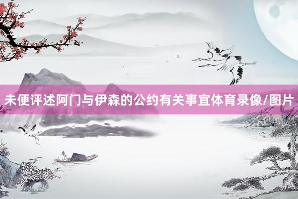 未便评述阿门与伊森的公约有关事宜体育录像/图片