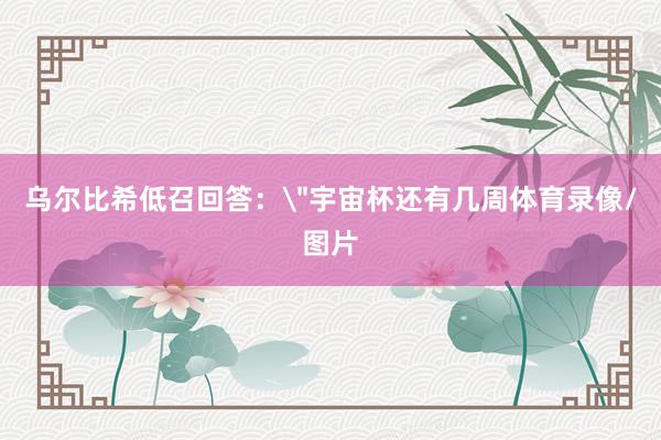 乌尔比希低召回答：
