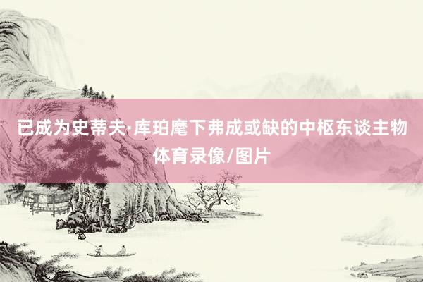 已成为史蒂夫·库珀麾下弗成或缺的中枢东谈主物体育录像/图片
