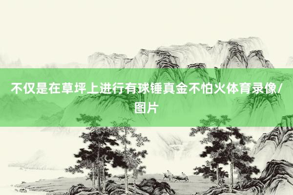 不仅是在草坪上进行有球锤真金不怕火体育录像/图片