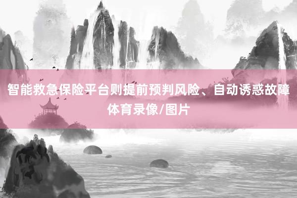 智能救急保险平台则提前预判风险、自动诱惑故障体育录像/图片