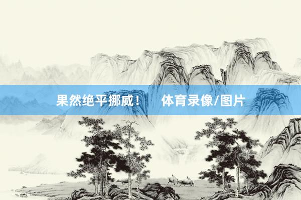 果然绝平挪威！    体育录像/图片